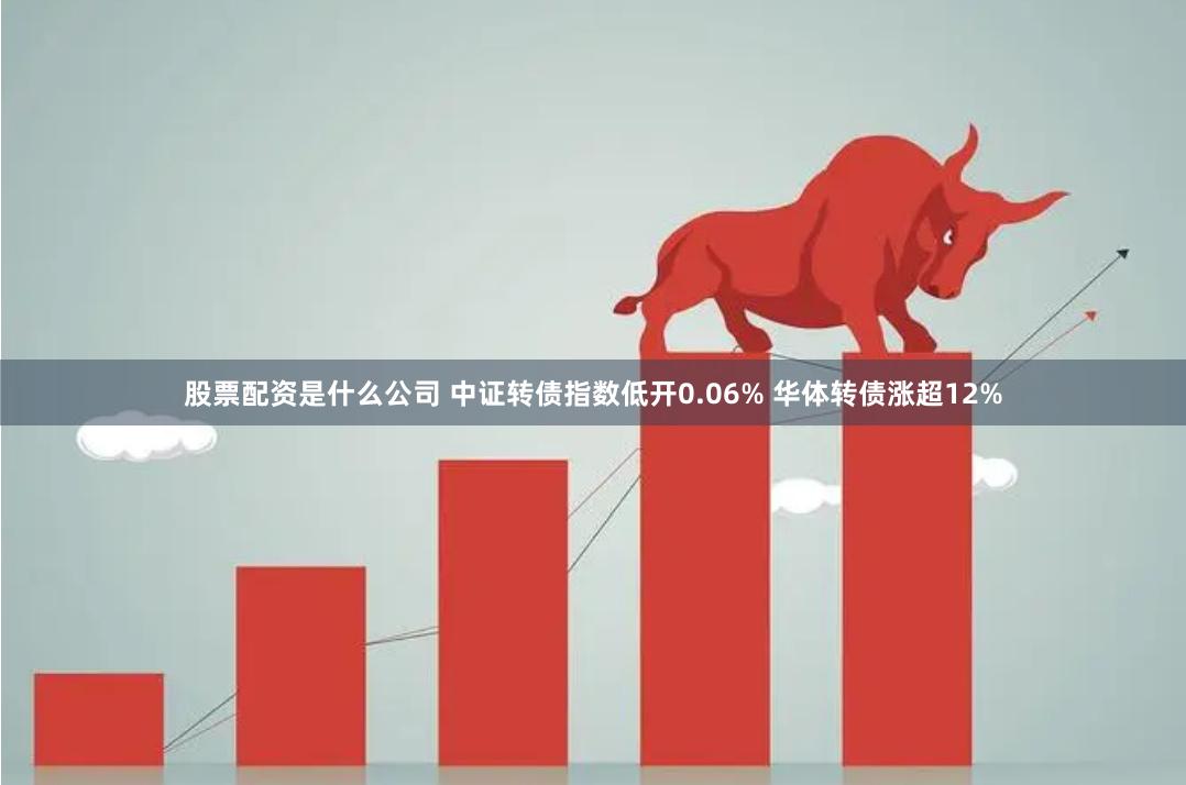 股票配资是什么公司 中证转债指数低开0.06% 华体转债涨超12%